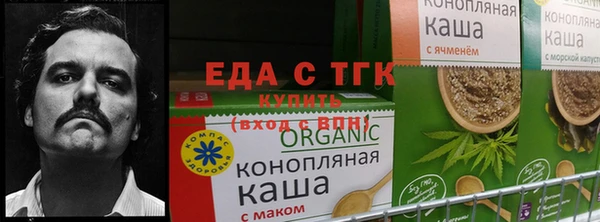 ГАЛЛЮЦИНОГЕННЫЕ ГРИБЫ Богородск