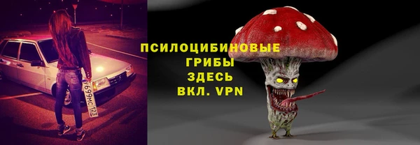 a pvp Богородицк