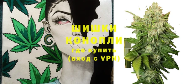 бутират Богданович