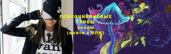a pvp Богородицк