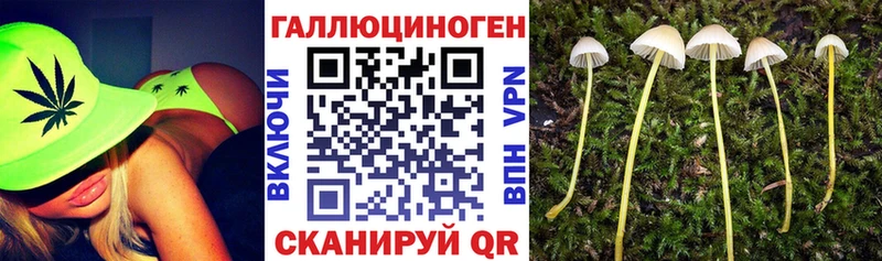Купить  Рошаль  Галлюциногенные грибы Magic Shrooms 