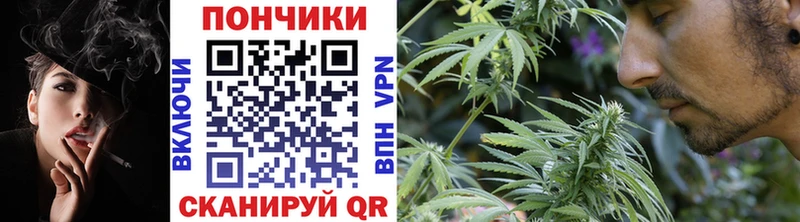 Купить закладки Рошаль Канабис White Widow